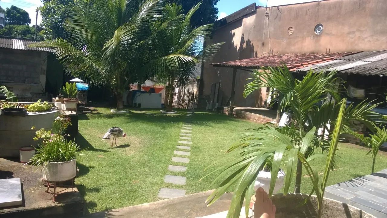 TEMPORADA CARNAVAL 2027 - Foto 3