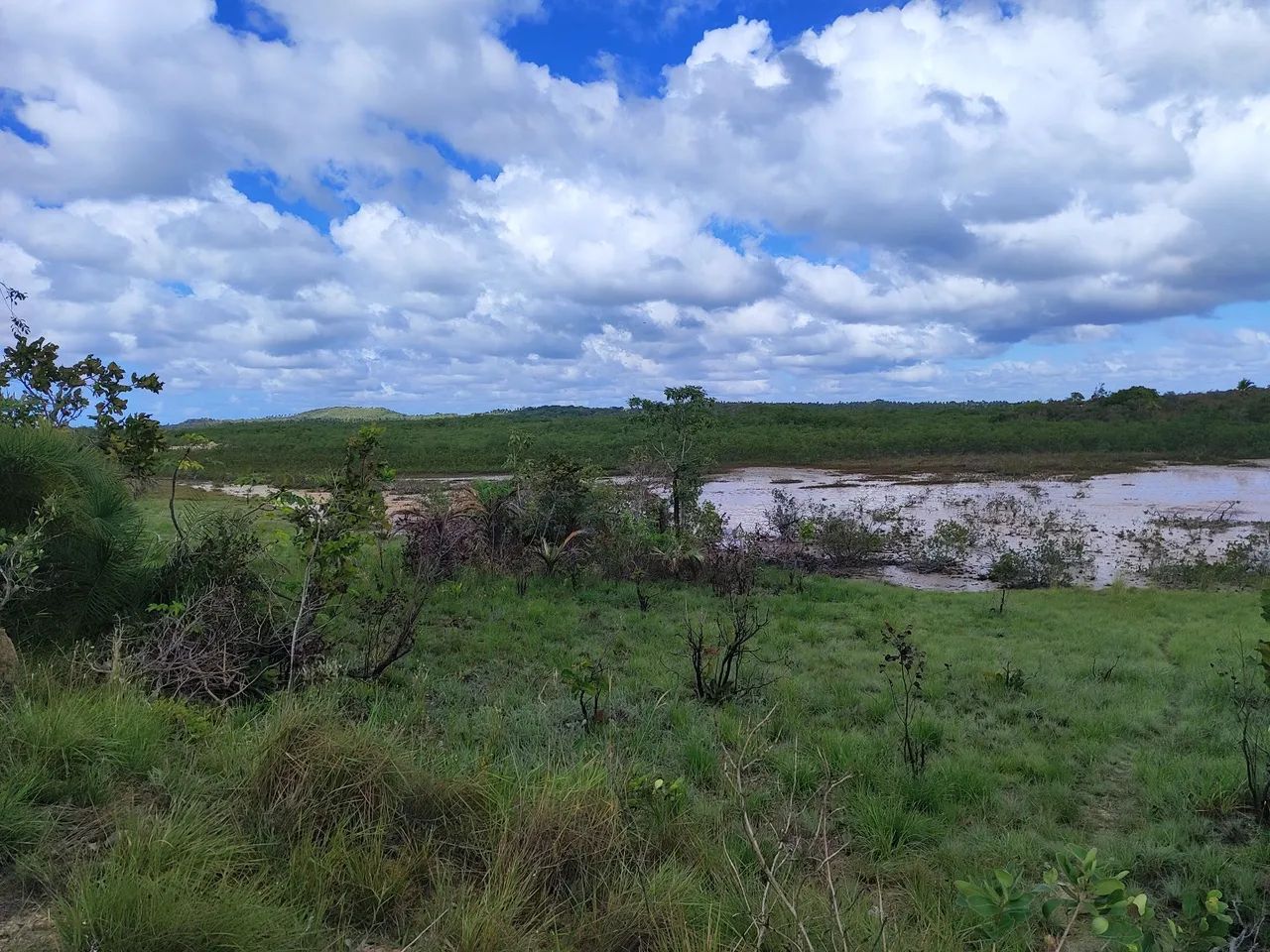 Excelente terreno para investimento  - Foto 3