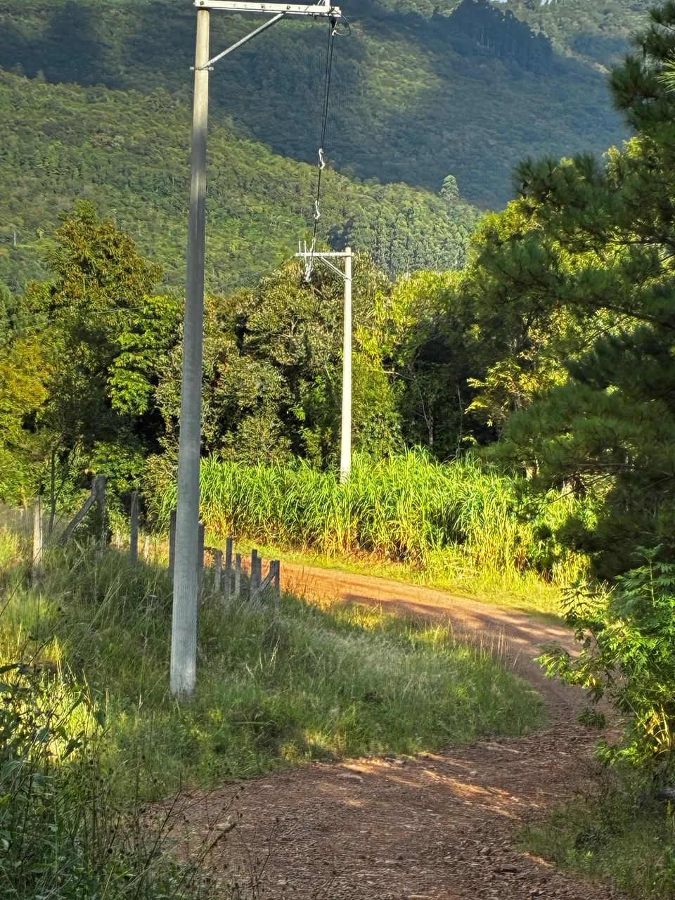 Sítio para curtir a natureza  - Foto 2