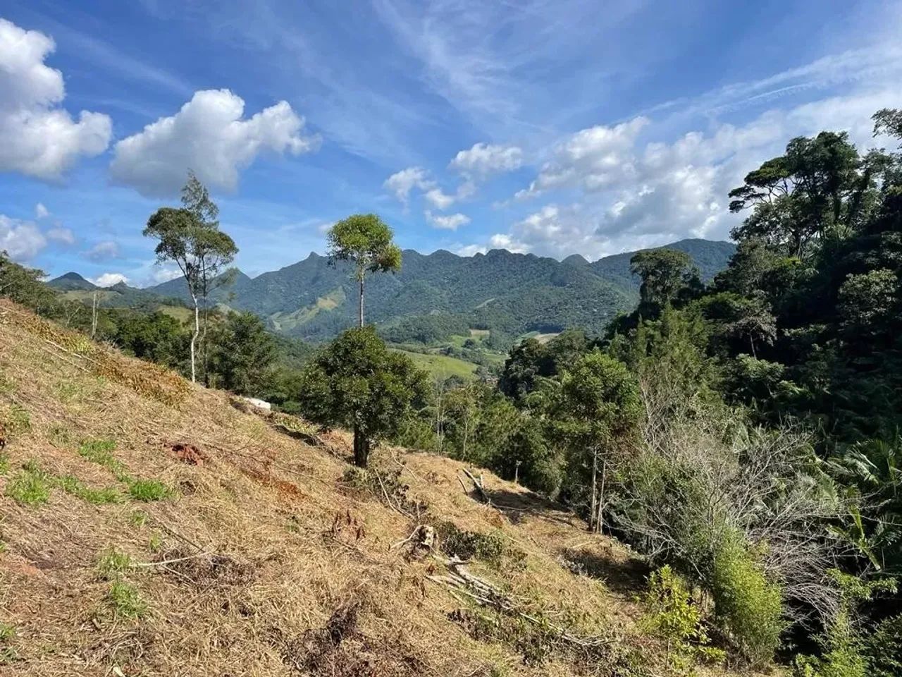 Terreno São Pedro Da Serra - Foto 3