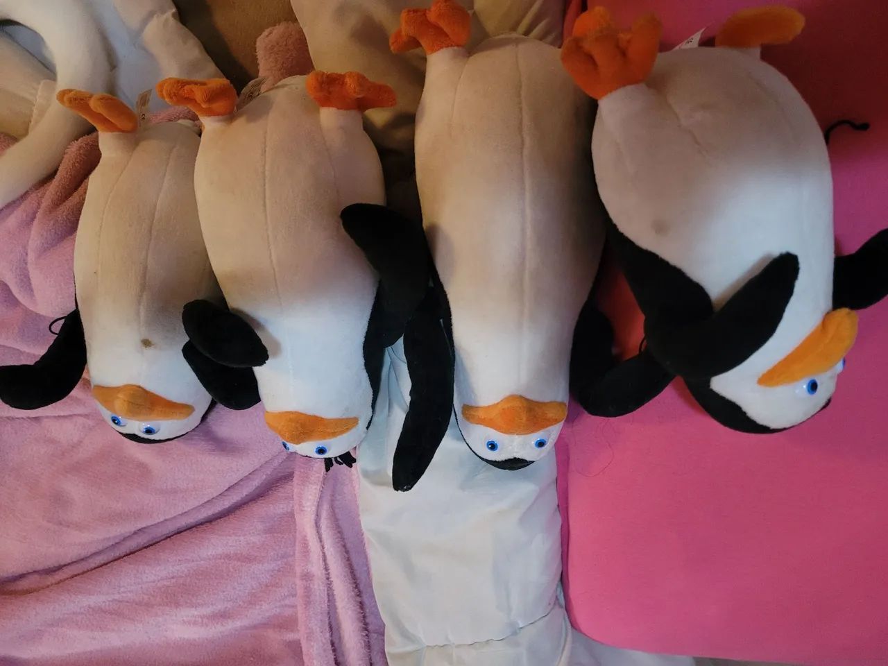 Pinguins Magadascar