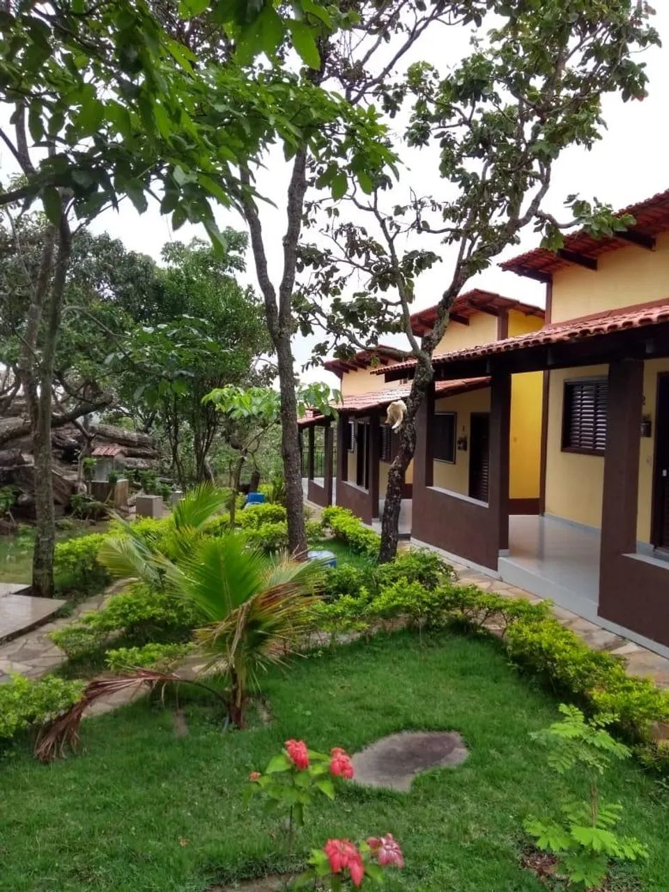 Caseiro 