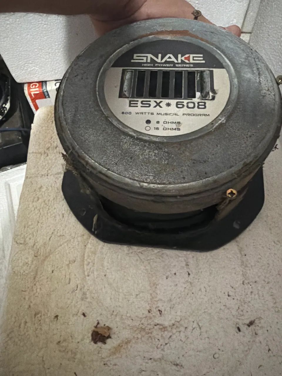 Médio grave snake  - Foto 2