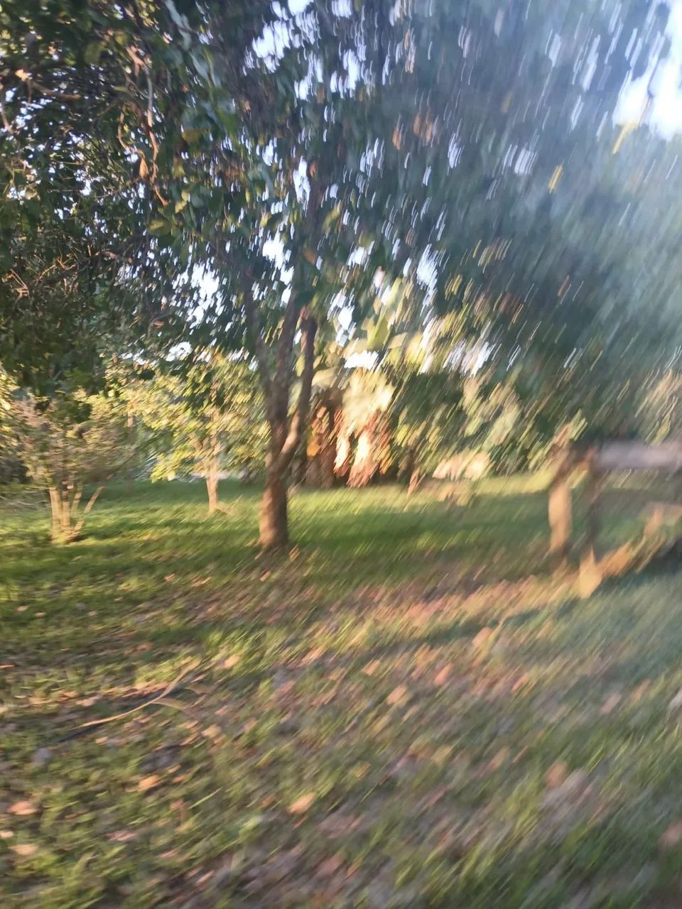 Vendo essa chácara  - Foto 4