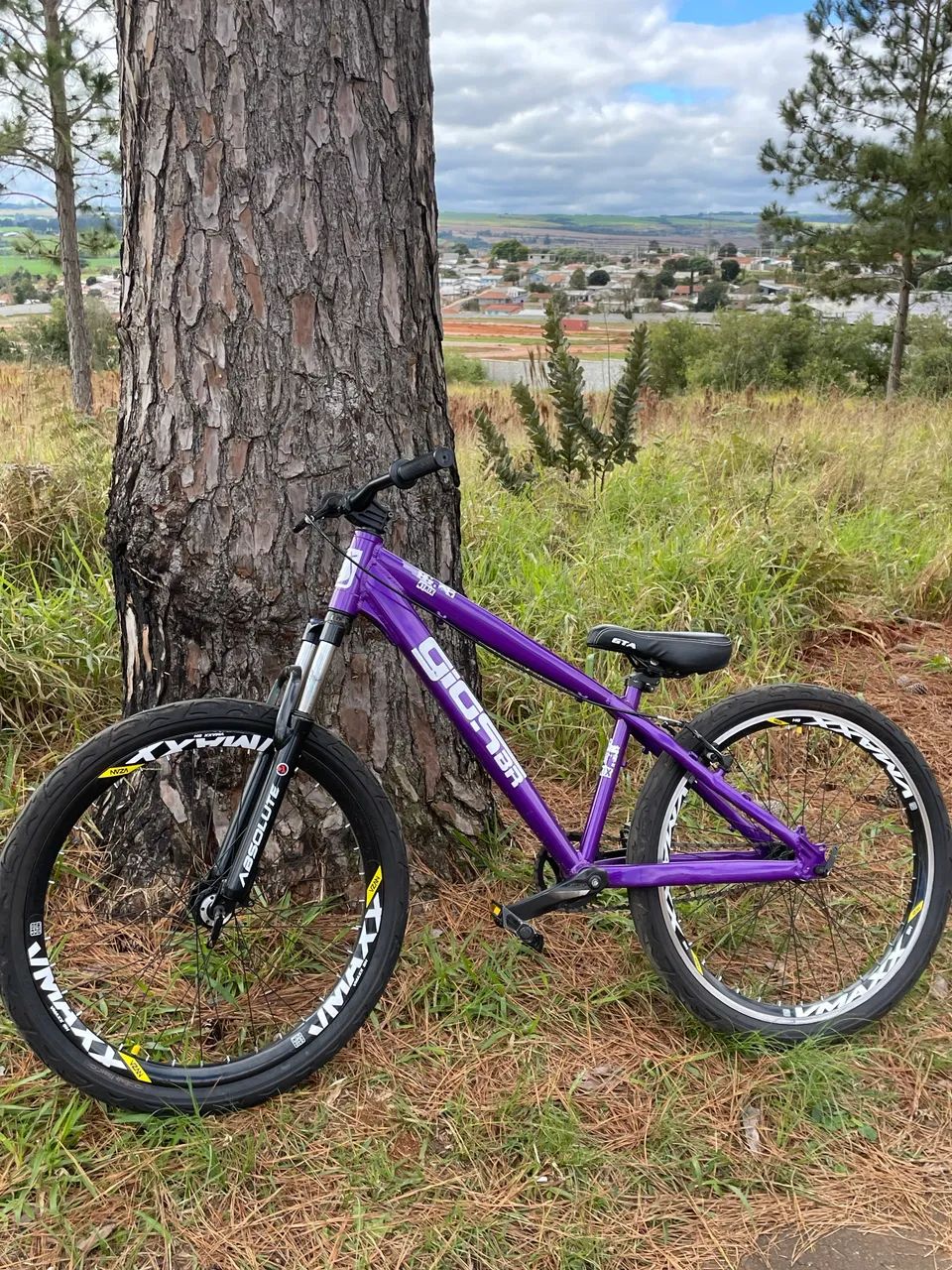 Gios 4trix 2025 - Foto 3