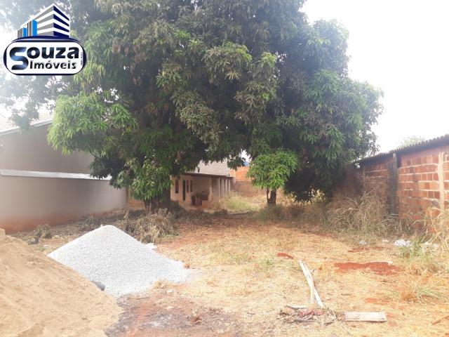 Lote na avenida comercial setor Jardim Marista Trindade - Foto 6