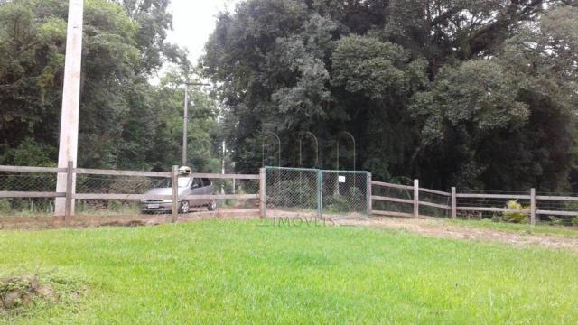 Sítio em gramado, linha tapera, 5 hectares - Foto 13