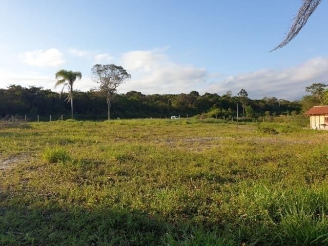 1420 Chácara no Bairro Pinheiros - Foto 6