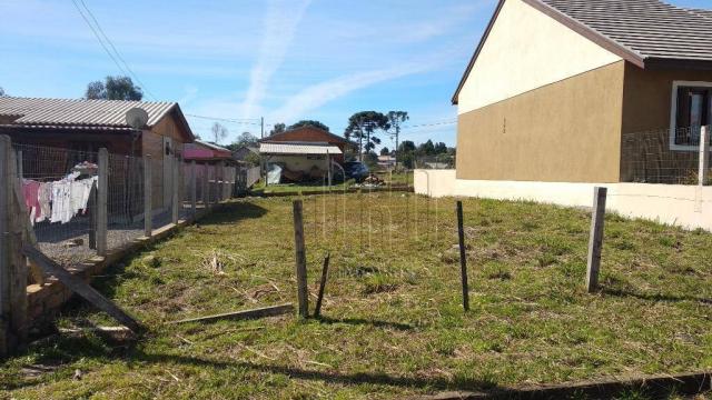 Terreno em canela, bairro vista do vale, 250 m² - Foto 2