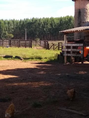 Fazenda a Venda - Foto 16