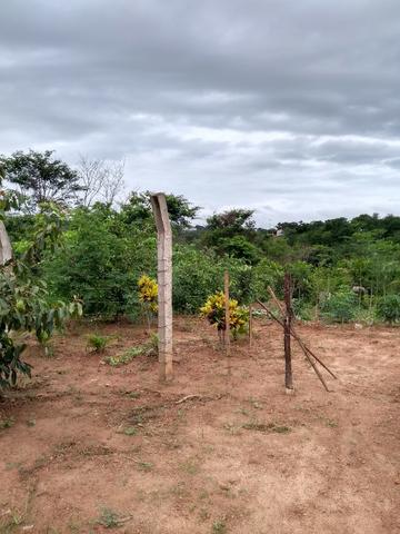 Chacara a venda 2,700 mt coleção de frutas mais de 200 especis dentro da cidade - Foto 9