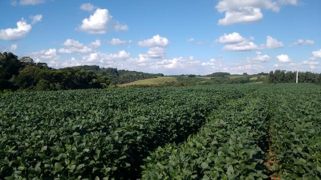 Fazenda vendo Santa Maria do Oeste - PR - Foto 2