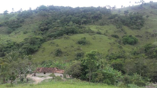 Linda Fazenda em Joaquim Gomes 60 hectares apenas 750 mil - Foto 11