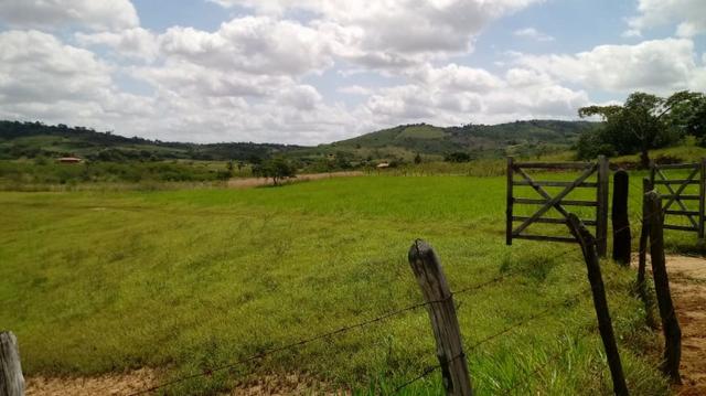 Propriedade de 7 hectares, escriturada, em Dois Leões-PE! - Foto 10