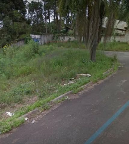Proximo a rodovia da uva colombo, libera para construção de casas e apartamentos - Foto 3