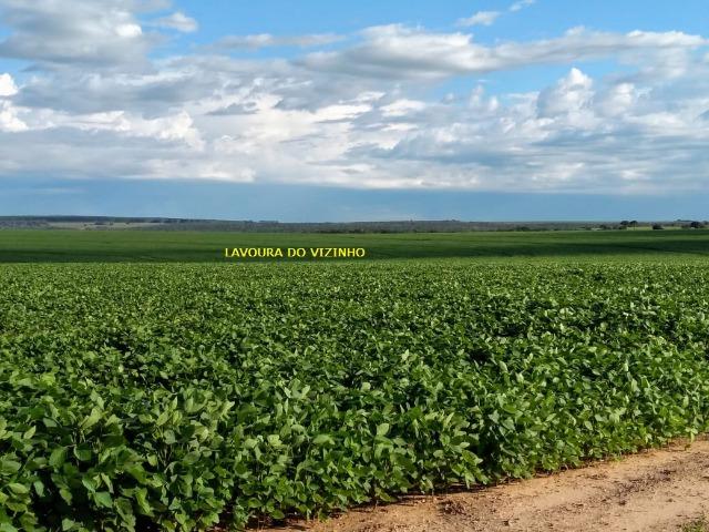 2.253 Há. Alto Garças-MT (Plana ao Lado Lavoura) - Foto 16