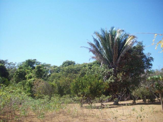 Cód. 5284 - Sítio em Cocalzinho de Goiás - Foto 17