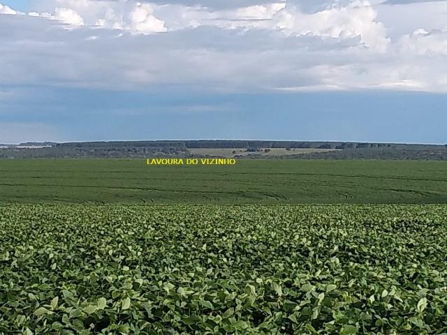 2.253 Há. Alto Garças-MT (Plana ao Lado Lavoura) - Foto 9