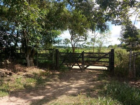 Fazenda para venda em paudalho, guadalajara - Foto 18