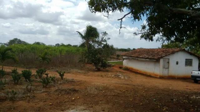 Sítio para venda em lagoa do itaenga, lagoa de itaenga - Foto 7