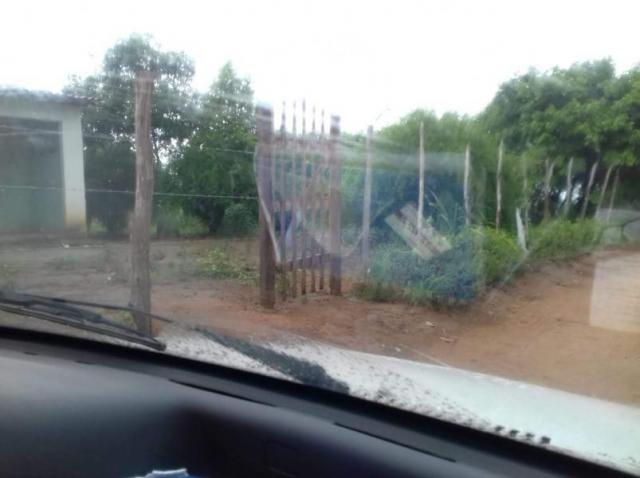 Fazenda para venda em aliança, aliança - Foto 2