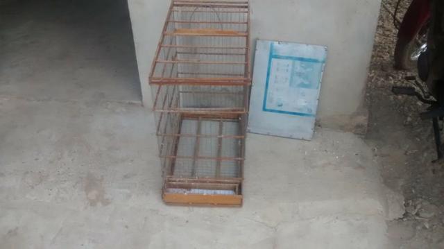 Gaiola - Foto 2