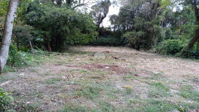 Terreno à venda com 0 dormitórios em Abranches, Curitiba cod:924178 - Foto 2