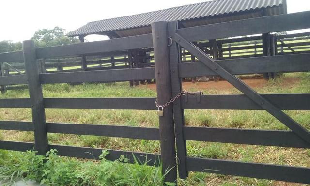 Fazenda - Foto 20
