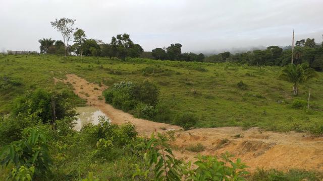 Fazenda - Foto 6