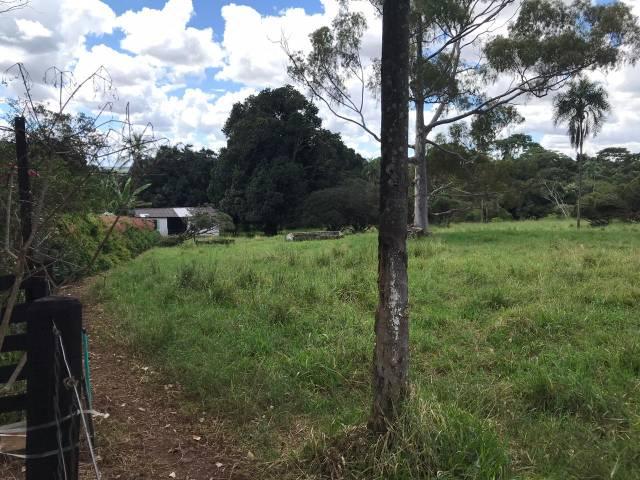 Fazenda - Foto 4