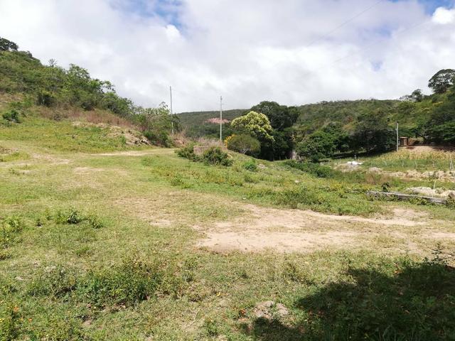 Oportunidade Fazenda de 175 hec por 430 mil - Foto 3