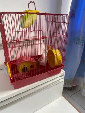 Gaiola de Ramister  - Foto 4