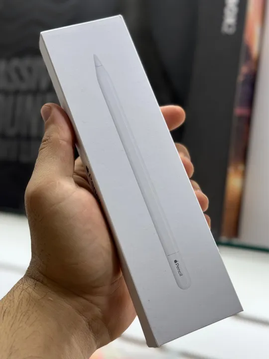 Apple Pencil USB-C Original Apple Novo Lacrado na Caixa