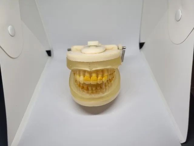 Manequim Odontologico + Boca de Reposição - Foto 3