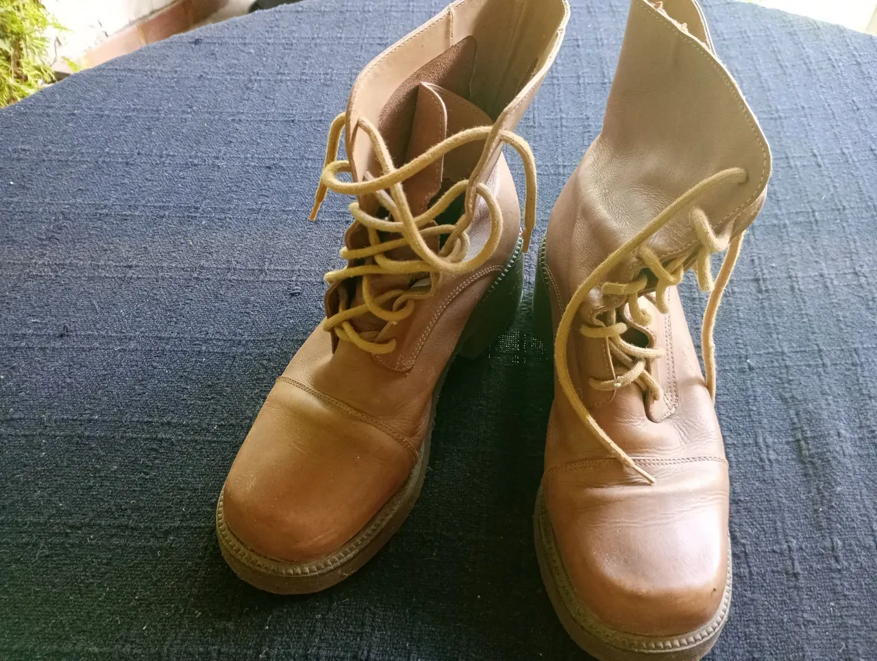 Bota