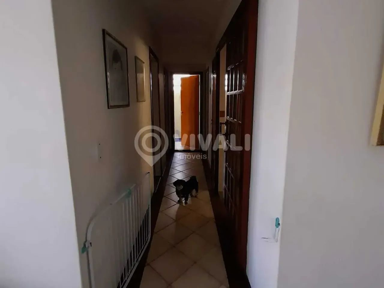 Apartamento - / Residencial / Vila João Jorge - Foto 3