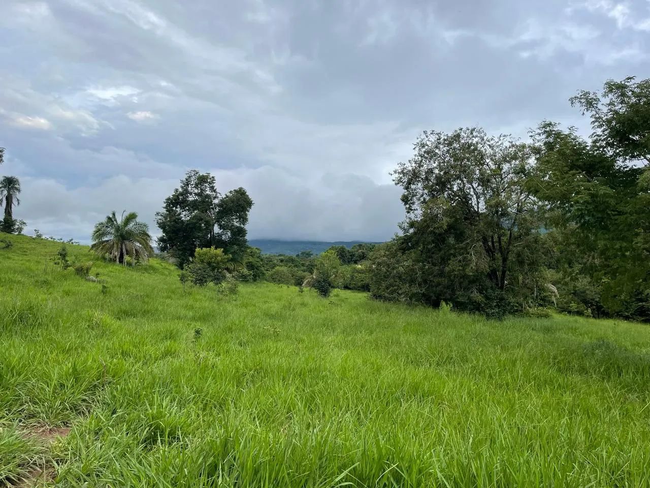 Fazenda (região de Goiás velho) - Foto 3