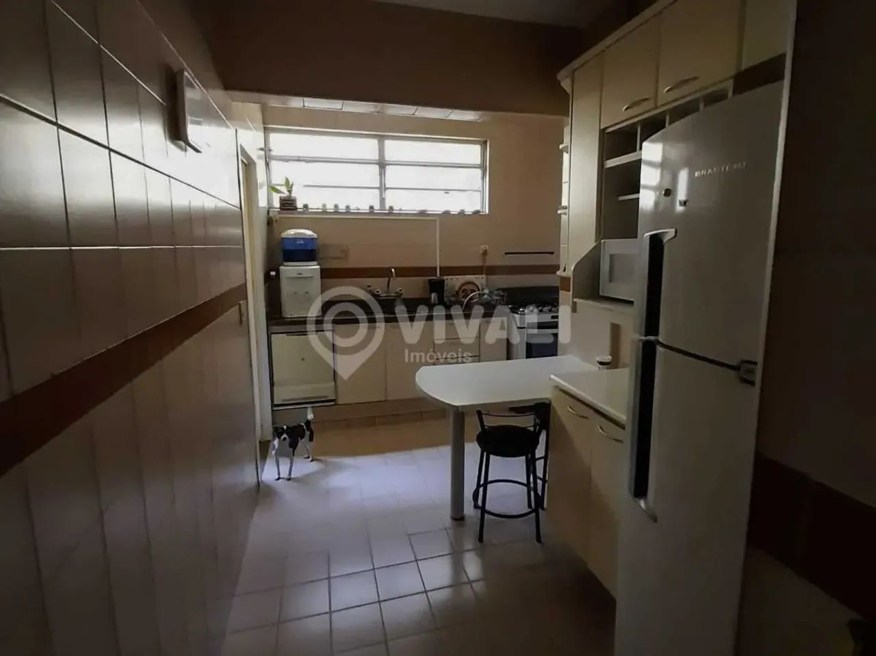 Apartamento - / Residencial / Vila João Jorge - Foto 4