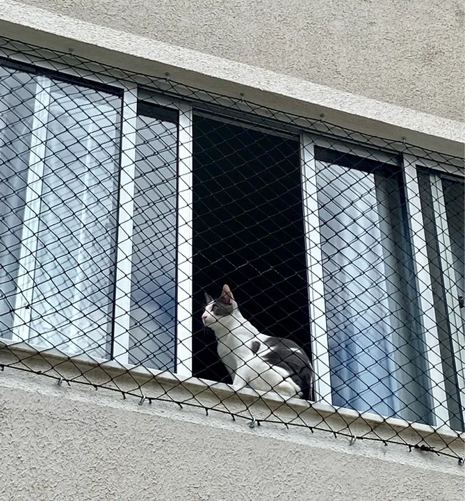 Tela de Proteção