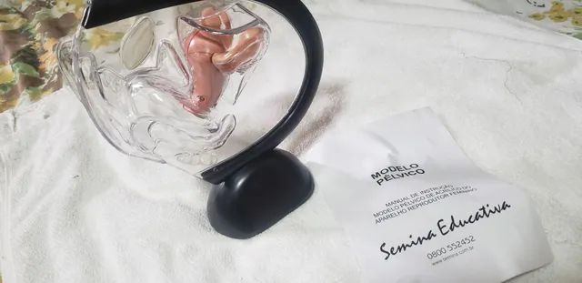 Modelo de útero  - Foto 3