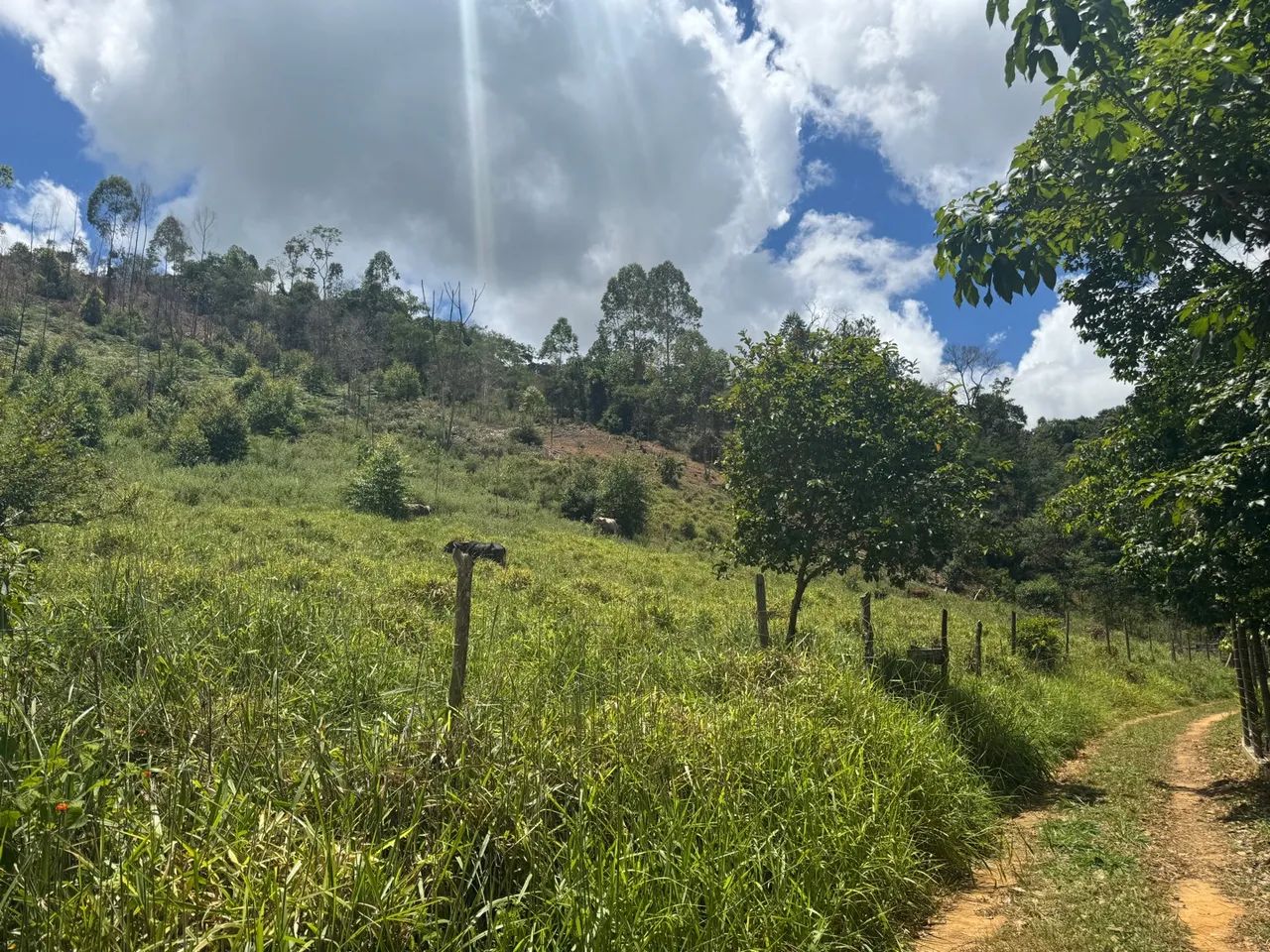 Terreno em área verde com vista espetacular - Foto 4