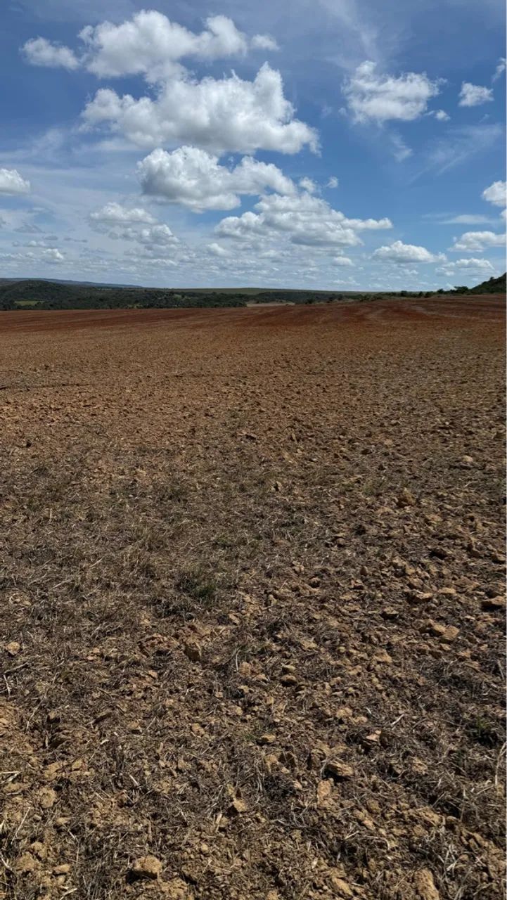 Fazenda de 654 hectares 