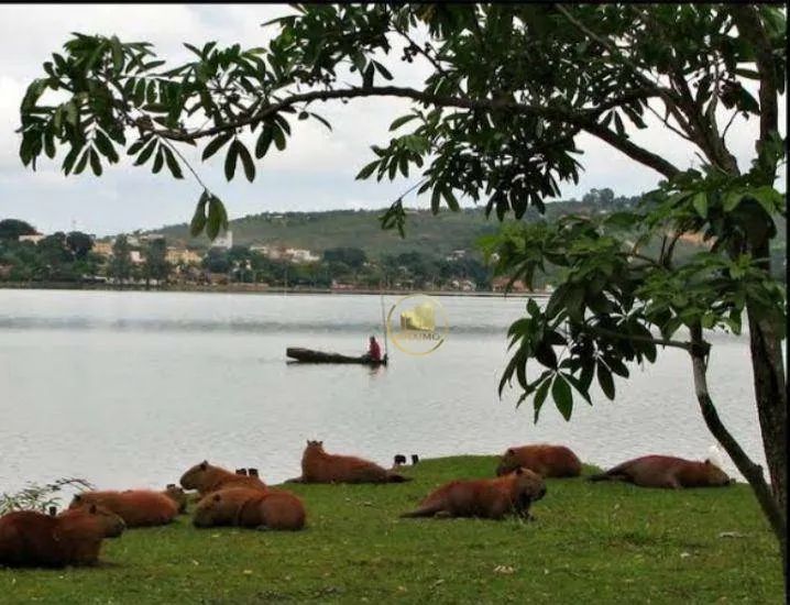 Lote plano no Jardim Ipe - Foto 3