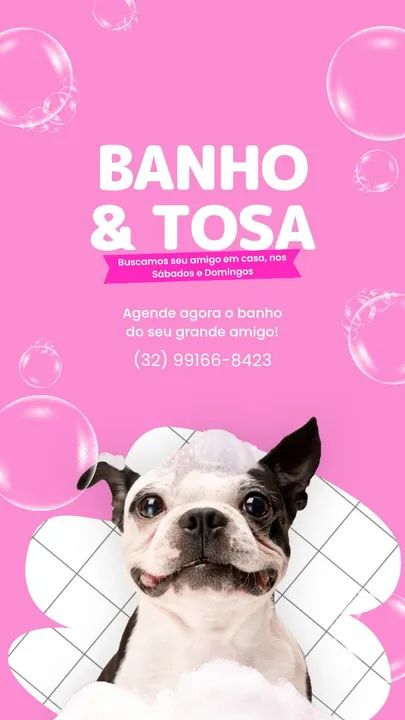 Banho e Tosa para seu Amigo de Quatro Patas! - Acessórios para pets ...
