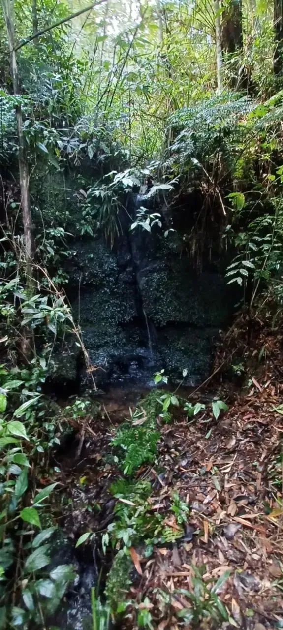 Imóvel para venda tem 110000 metros quadrados em Barro Preto - Alfredo Wagner - SC - Foto 11
