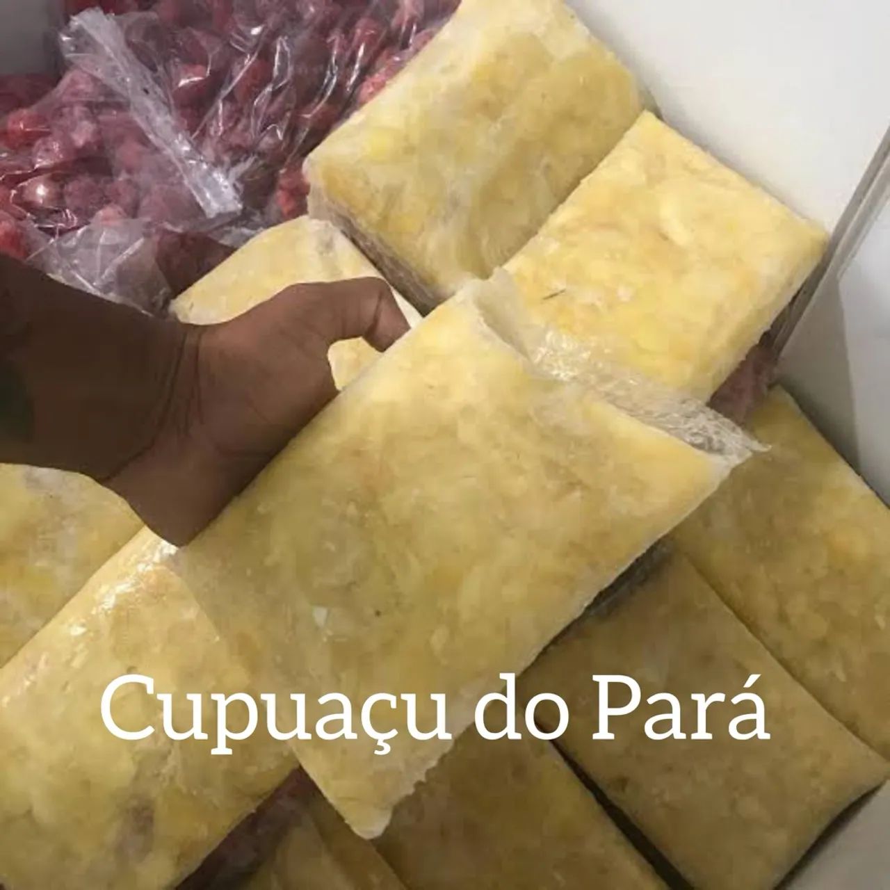 AÇAÍ E CUPUAÇU PURO DIRETO DO PARÁ  - Foto 2