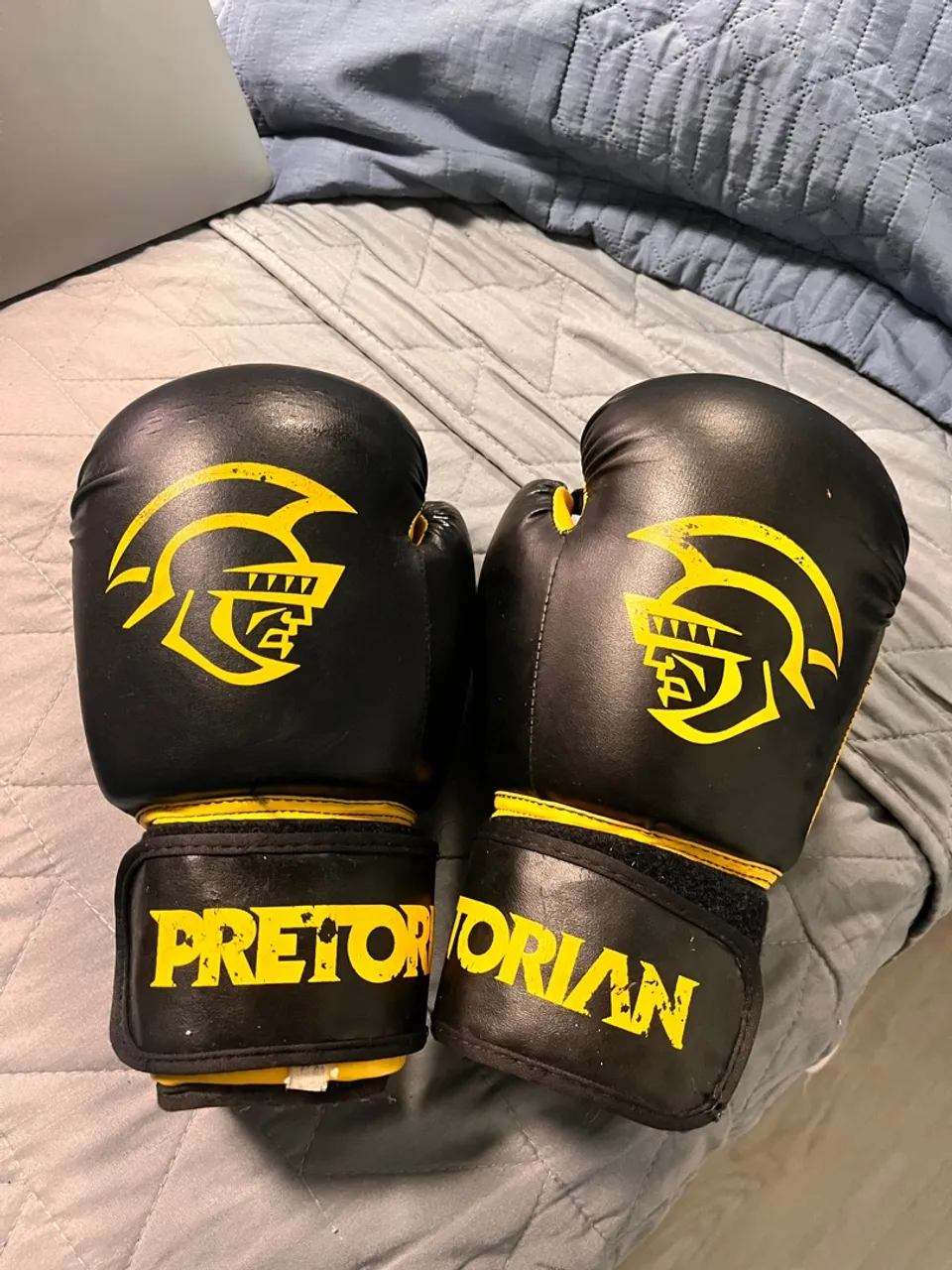 Luxa de Boxe Pretorian 12 onças