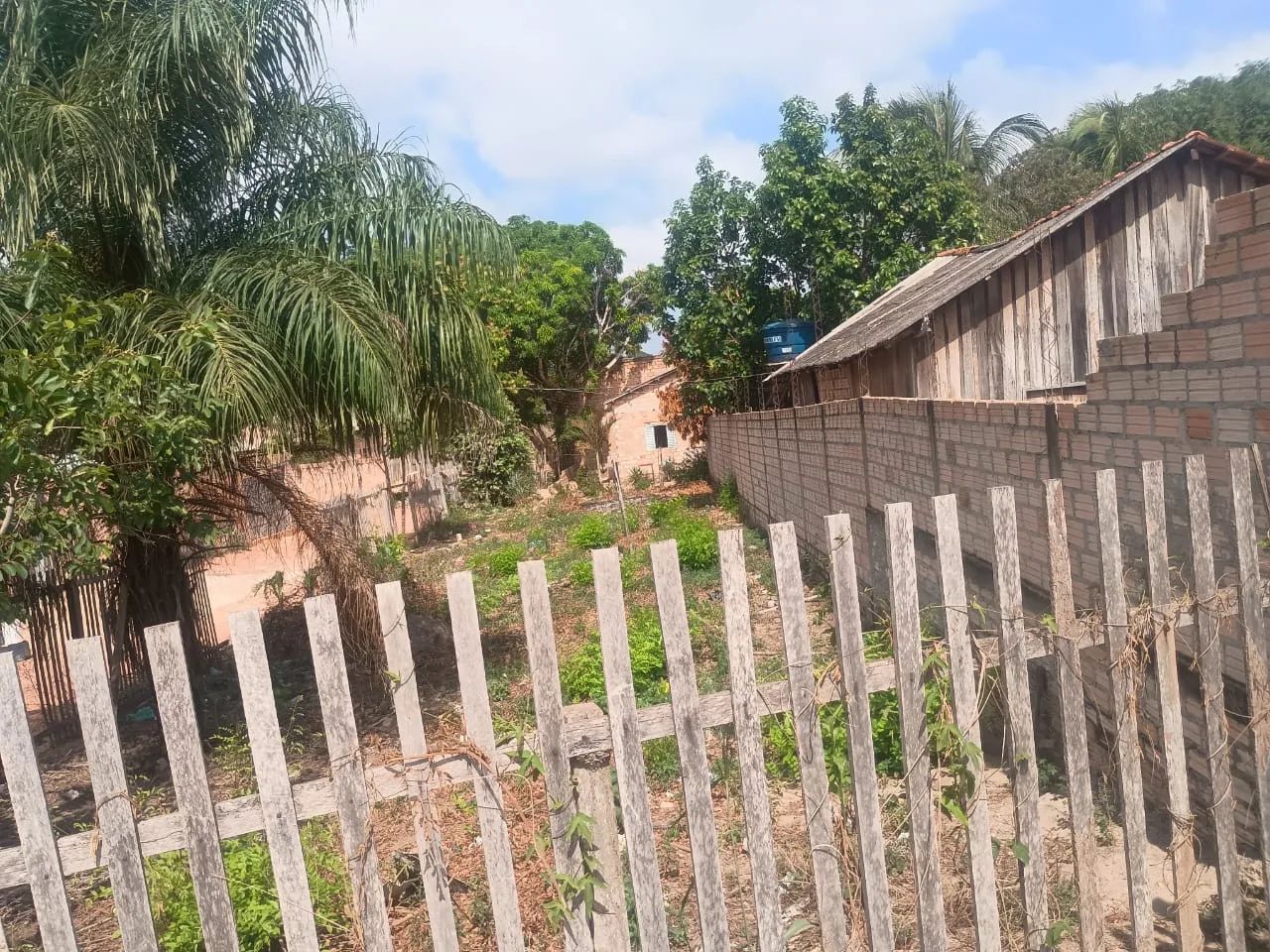 Foto - Santarém - Área Verde