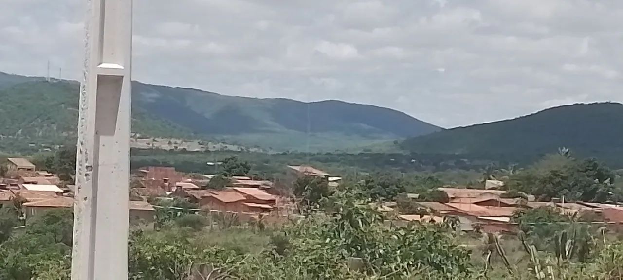 Vendo potro pampa de preto - Foto 2