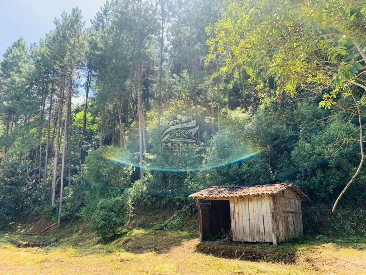 Terreno Rural para Venda em Angelina, PALHOCINHA - Foto 5